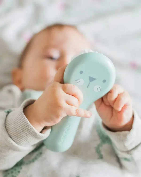 Suavinex Brosse et Peigne – Vert