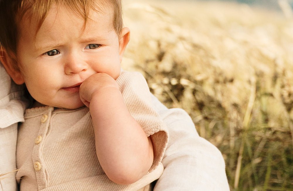 biolane Lait corps Biolane Expert