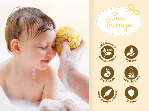 Bellini Natural Sea Sponge