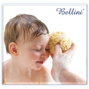 Bellini Natural Sea Sponge